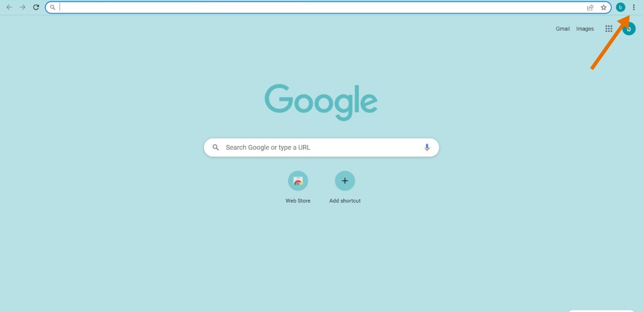 Google chrome home page